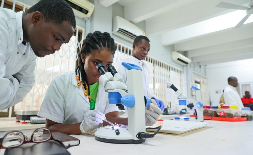 Africa: Fact Sheet - President Donald J. Trump Stops Wasteful Grantmaking