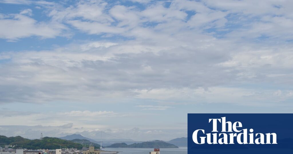 Attempt to partner African countries with Japanese cities triggers xenophobic backlash | Japan