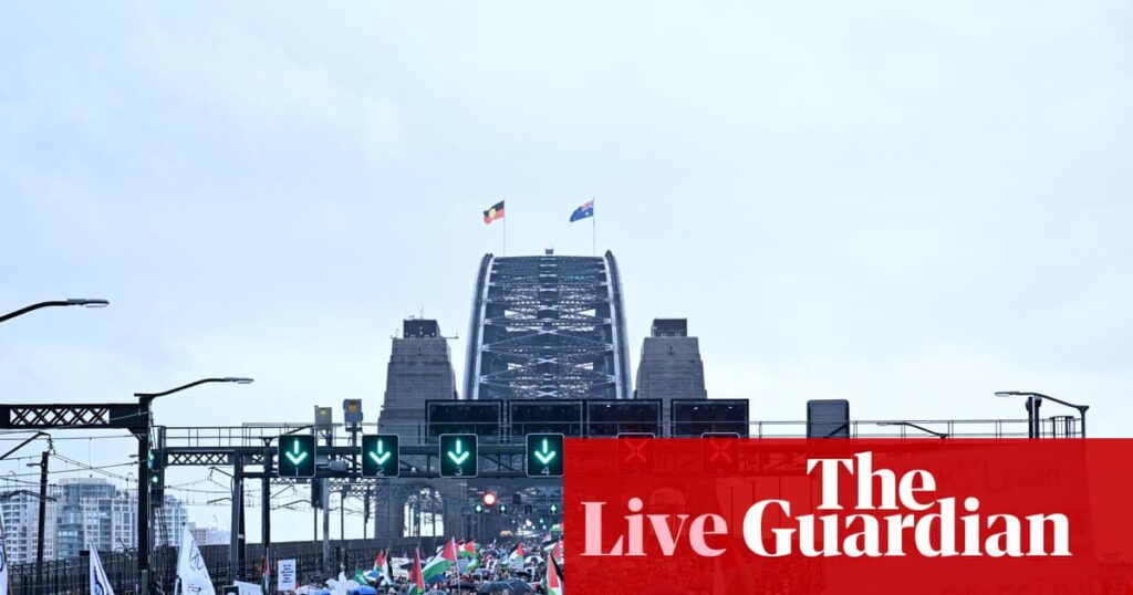 Australia news live: Israel’s deputy foreign affairs minister says Sydney Harbour Bridge marchers ‘useful idiots’ | Australia news