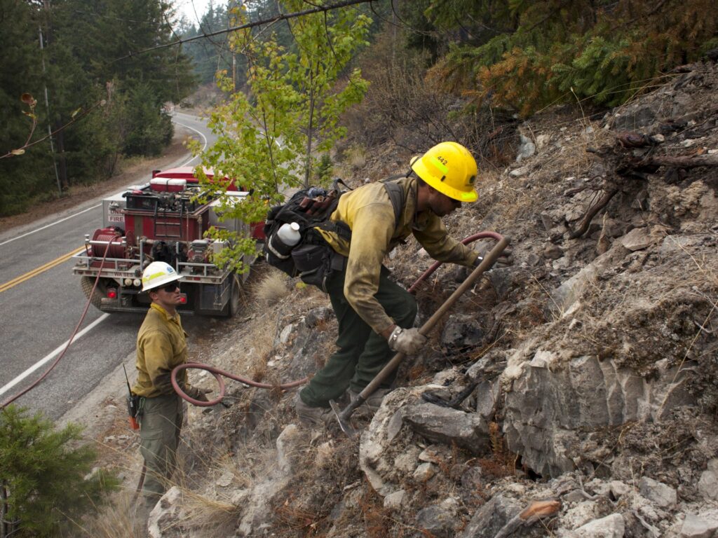 Firefighters tackling wildfire in US arrested by immigration agents | Migration News