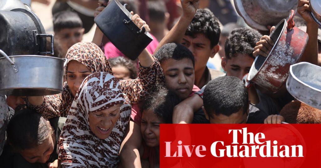 Gaza starvation is real and it is happening now, UN World Food Programme says – Middle East crisis live | World news