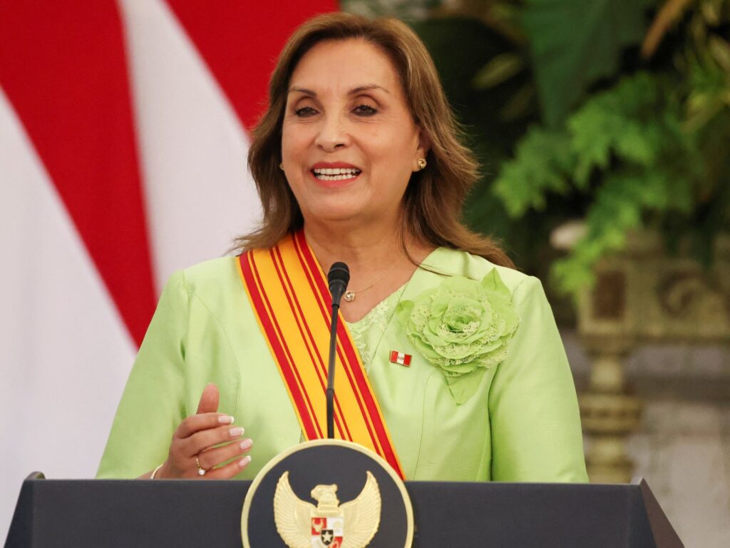 President Dina Boluarte signs into law Peru’s amnesty bill despite outcry | Human Rights News