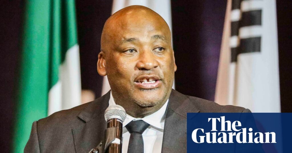 South African minister investigated for historical racial slurs on social media | South Africa