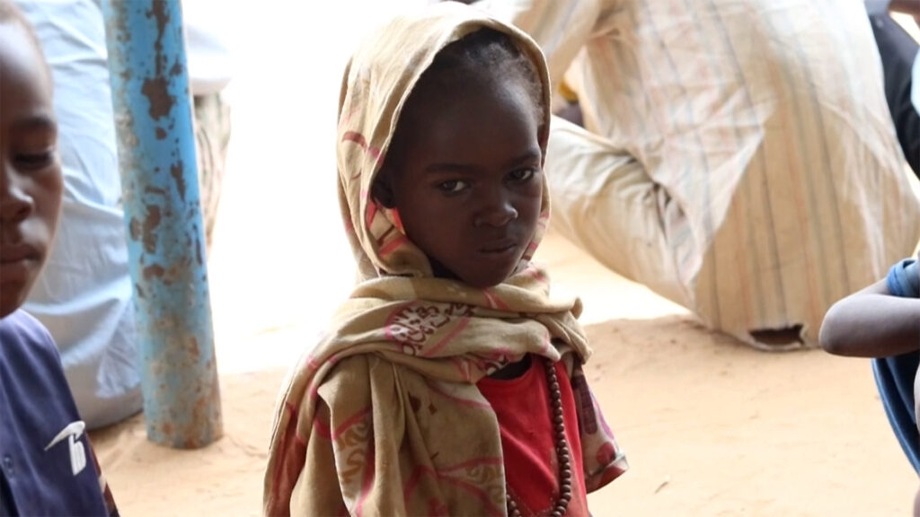 Starving Sudanese resort to animal feed in besieged el-Fasher | Sudan war