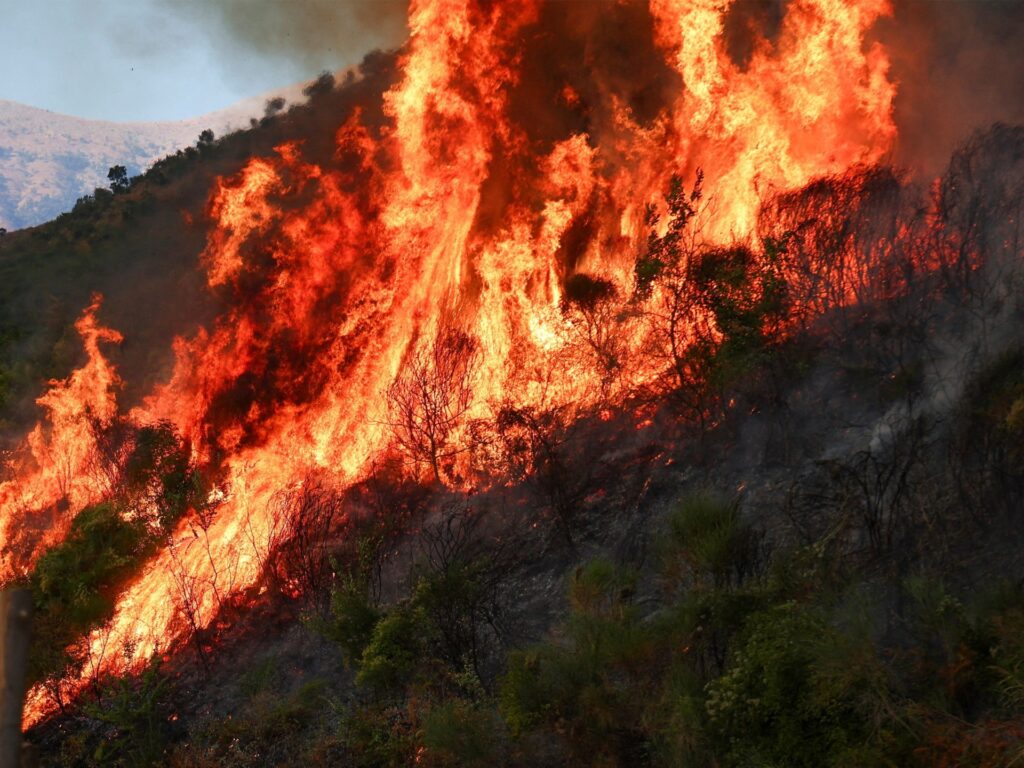 Wildfires ravage Europe amid intense heatwave | Environment