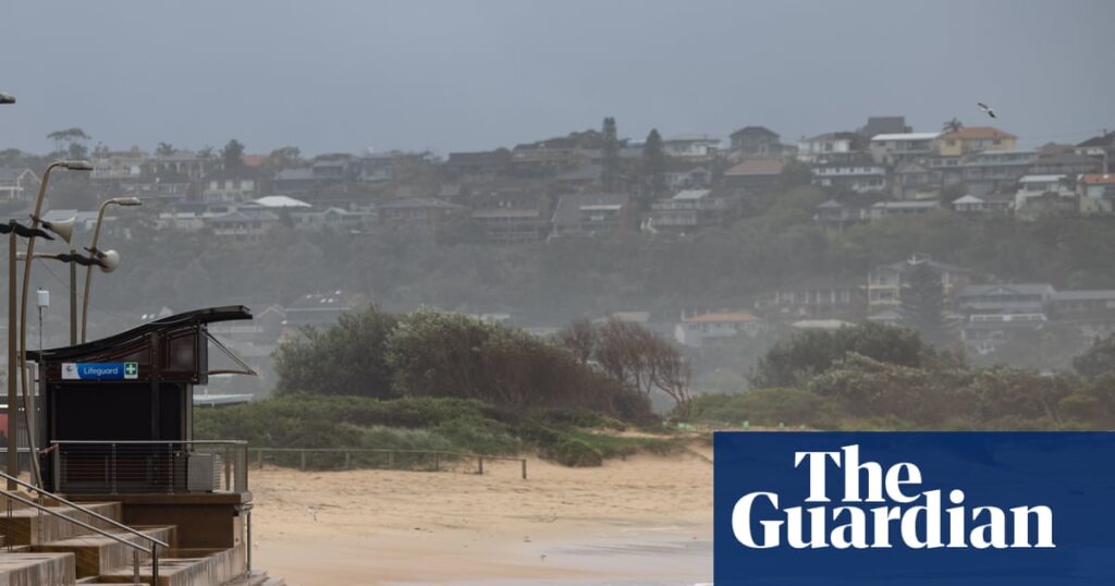 Man dies in shark attack near Dee Why on Sydney’s northern beaches | Sydney
