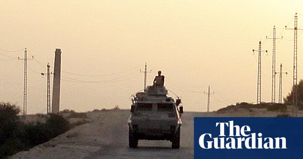 Mass grave reveals scale of unlawful killings by Egyptian army in Sinai, say campaigners | Egypt