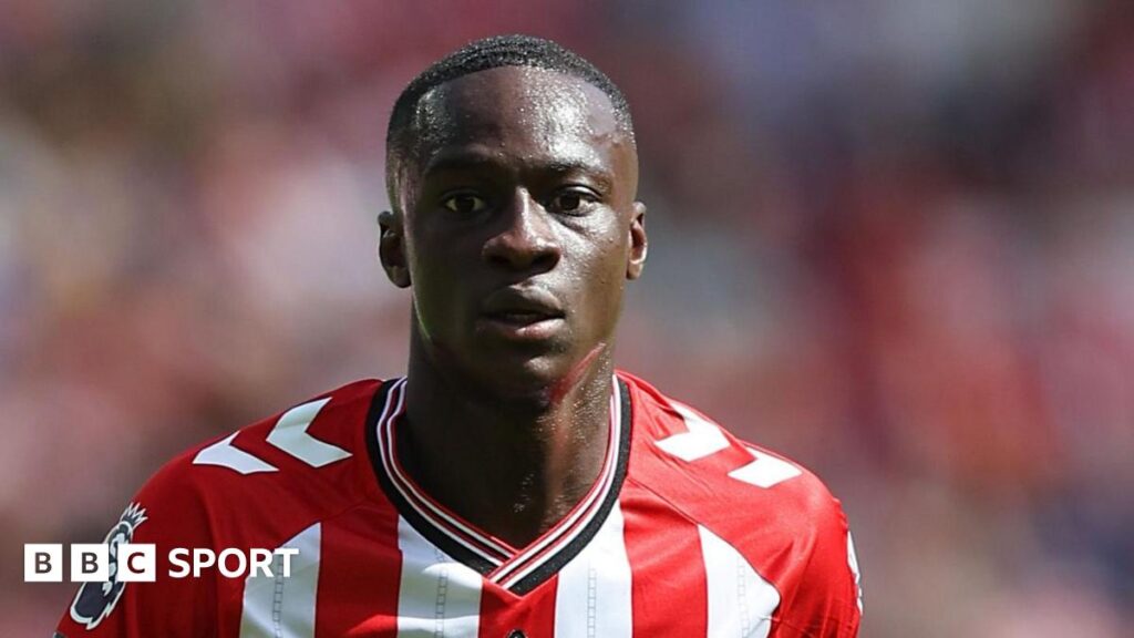 Sunderland midfielder Habib Diarra