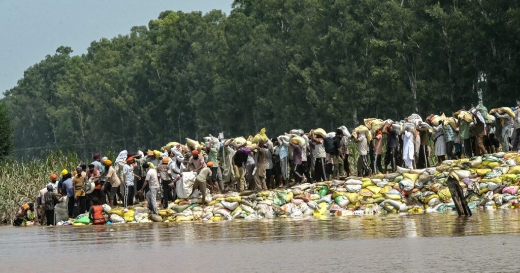 ‘Restart from scratch’: Flood-hit Indian farmers look at swelling losses | Agriculture