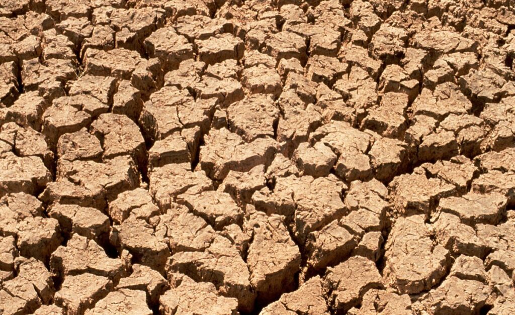 Africa's Floods and Droughts Messing With Our Minds. Researchers Try to Figure Out How