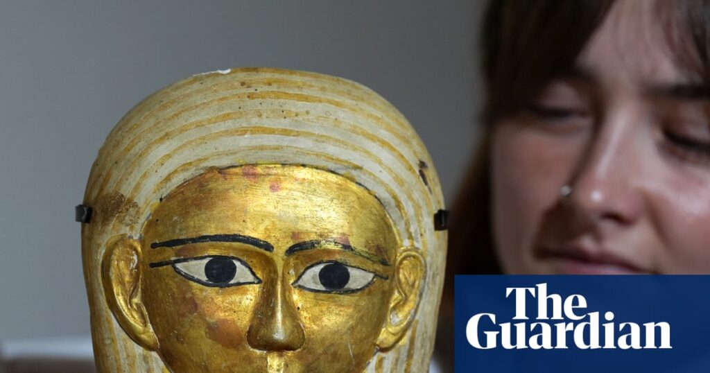 Cats, coffins and sick notes: discovering Egypt’s forgotten workers in broken pottery | Museums