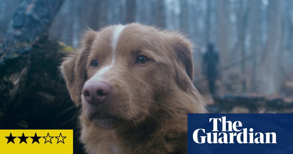 Good Boy review – crafty supernatural horror leads with a heroic dog | Horror films
