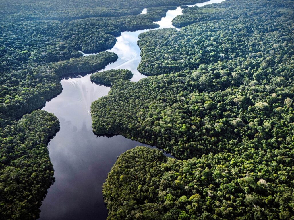 Is your beef linked to Amazon deforestation? A report highlights loopholes | Environment News