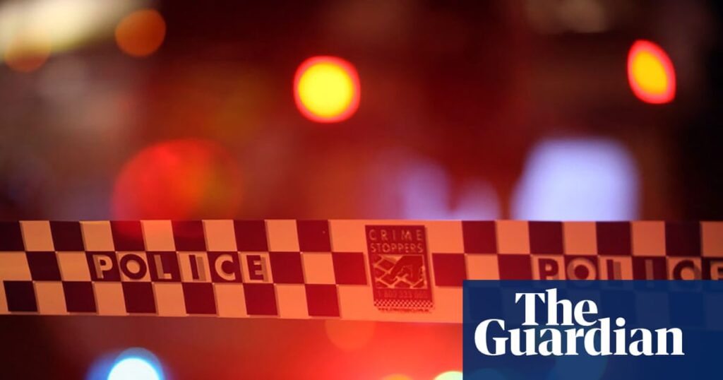 Man arrested after dozens of shots fired from Sydney home hit bystanders, buildings and cars | Sydney