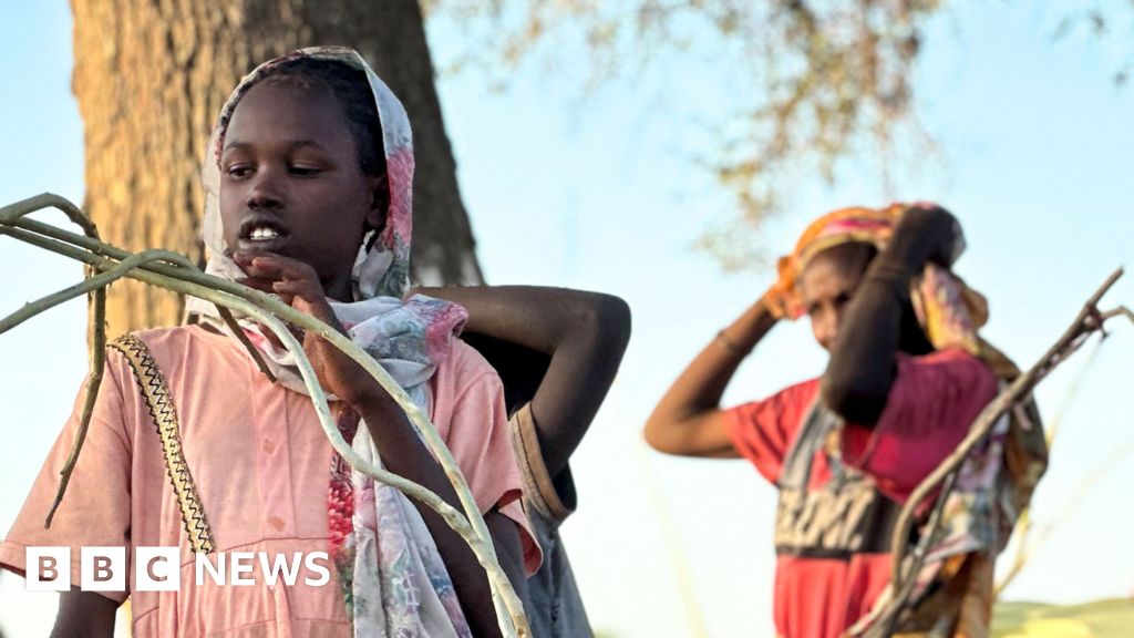 More than 60,000 flee el-Fasher after its capture by RSF militia, UN says More than 60,000 flee el-Fasher after its capture by RSF militia, UN says