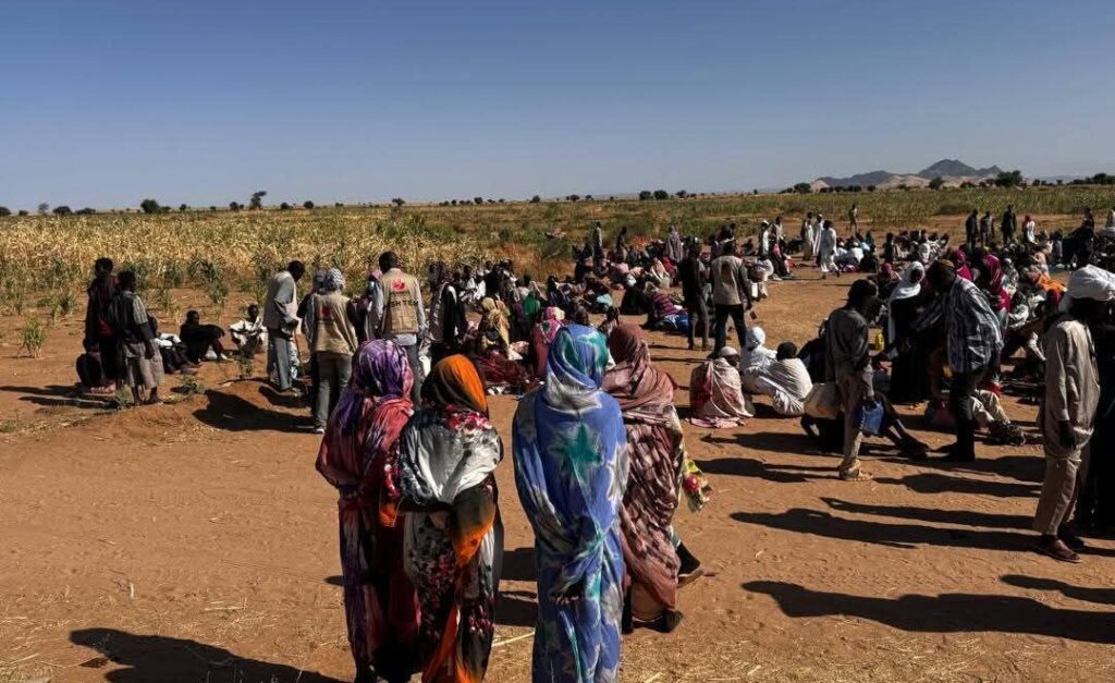 Sudan Media Forum Condemns RSF Atrocities in North Darfur’s El Fasher – Demands Immediate Humanitarian Access Sudan Media Forum Condemns RSF Atrocities in North Darfur's El Fasher - Demands Immediate Humanitarian Access