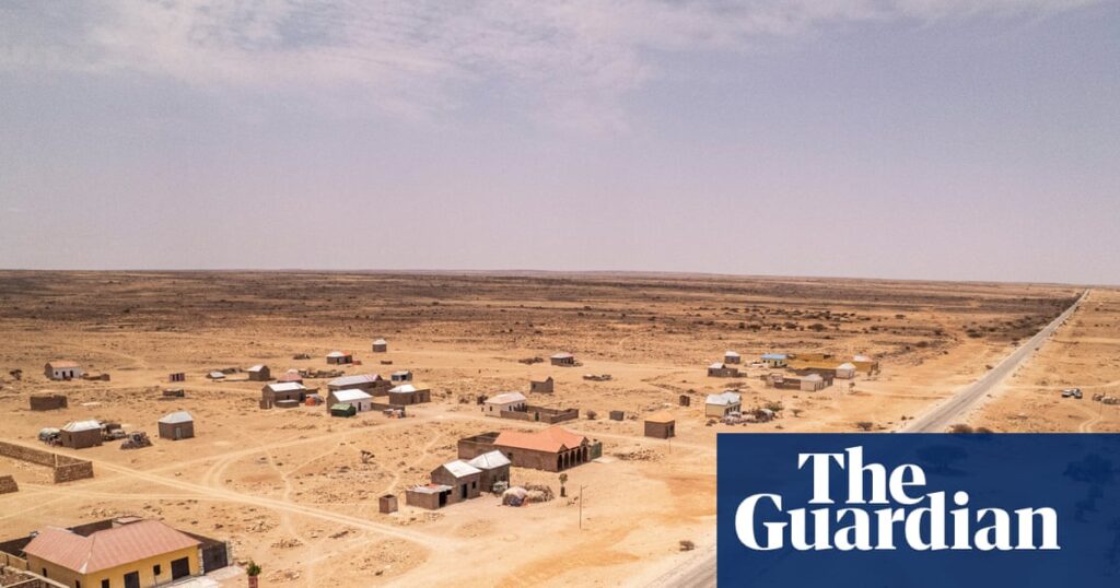 When the rains don’t come: how drought and endless dry seasons are changing life in Puntland – in pictures | Global development When the rains don’t come: how drought and endless dry seasons are changing life in Puntland – in pictures | Global development