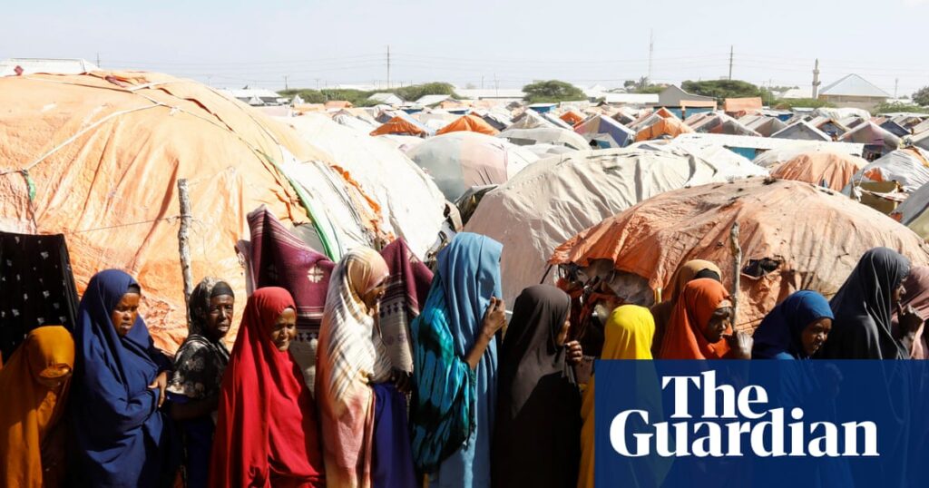 ‘The fear was immense’: al-Shabaab exploits fragmented politics to reclaim land in Somalia | Somalia