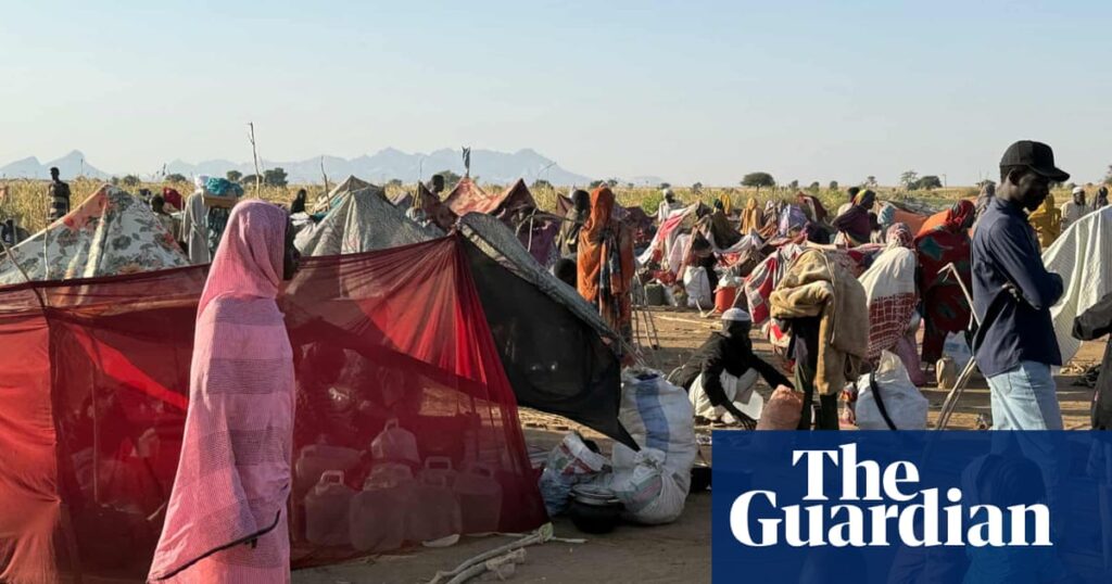 ‘They killed civilians in their beds’: chaos and brutality reign after fall of El Fasher | Global development