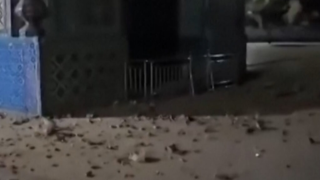 Video: Afghanistan’s Blue Mosque damaged in earthquake | Infrastructure